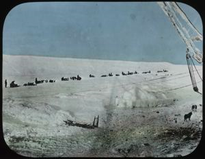 Image: Sledges, A Long Line, North Pole Expedition